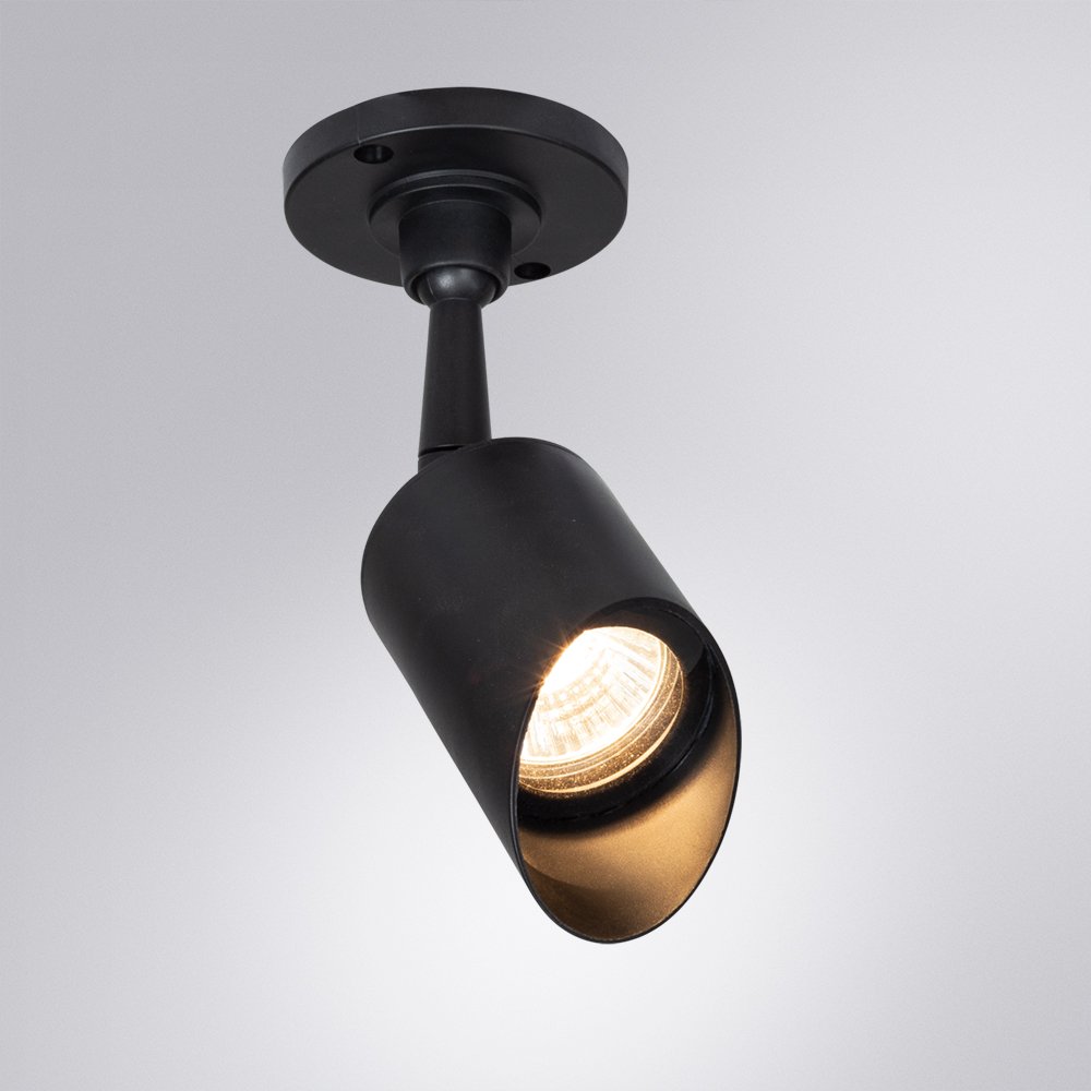 A1022AL-1BK Уличные потолочные Arte Lamp Elsie A1022AL-1BK