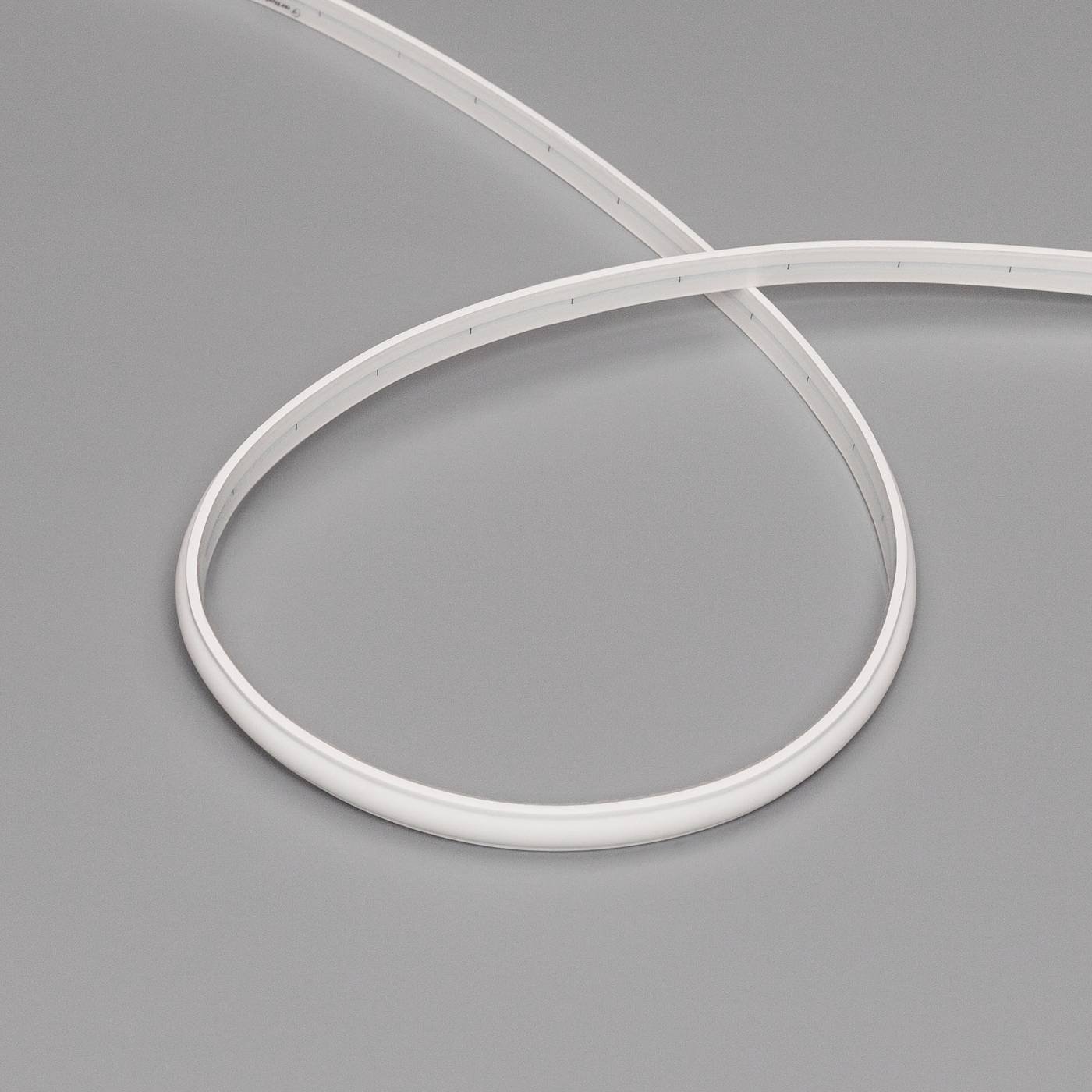 Светодиодный шнур Arlight Moonlight 041524