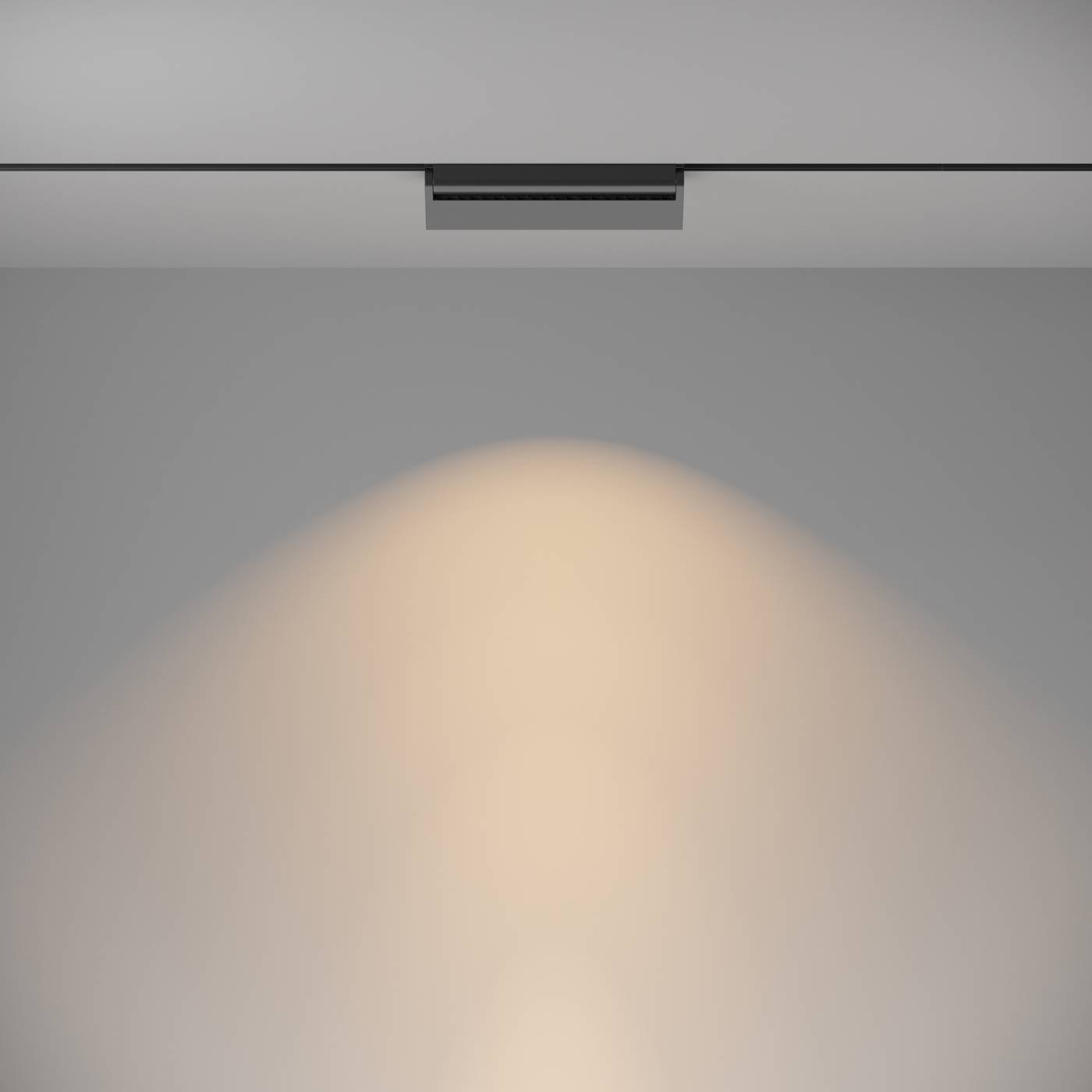 Трековый светильник Maytoni Basis Rot Gravity TR013-2-20W3K-B