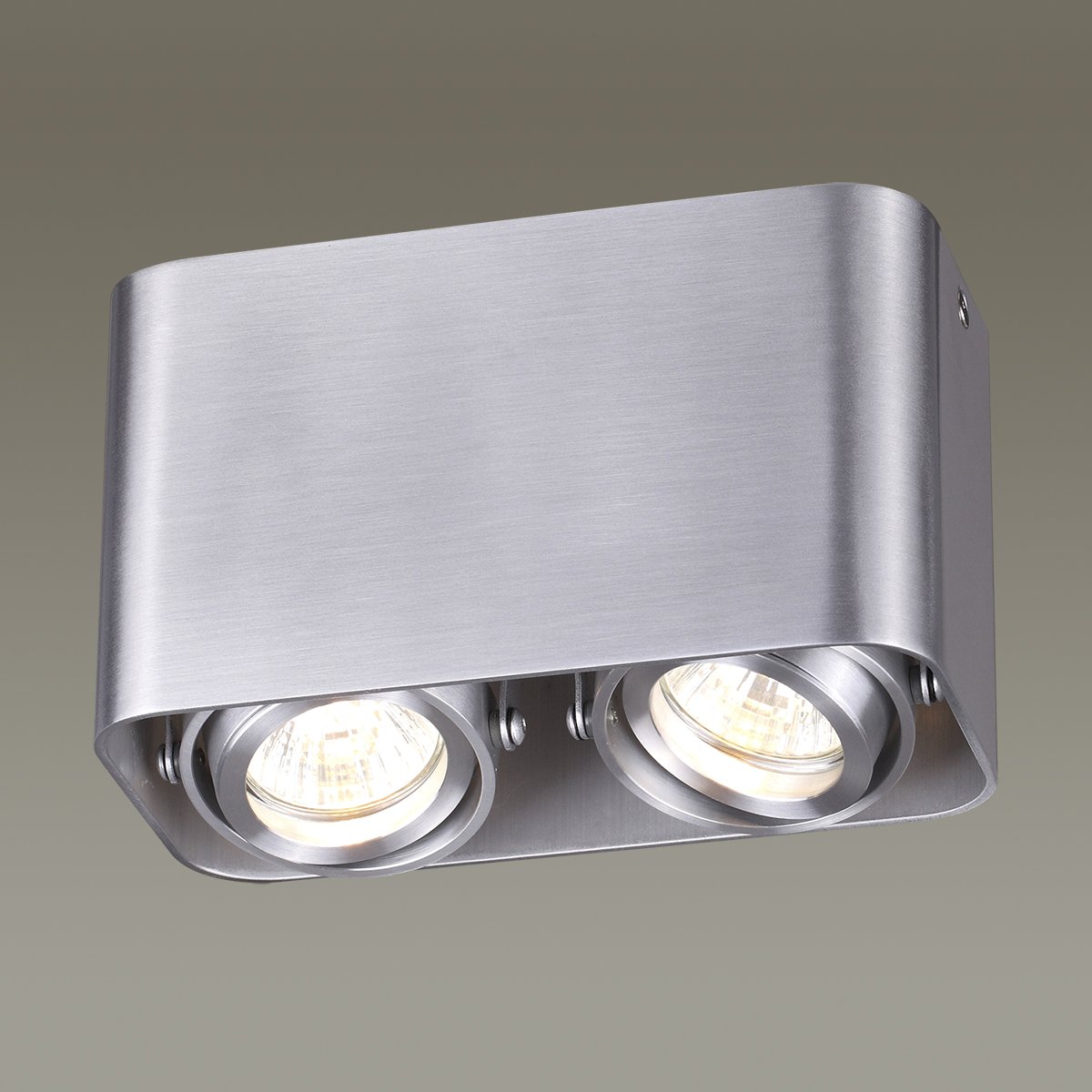 Накладной светильник Odeon Light Montala 3577/2C