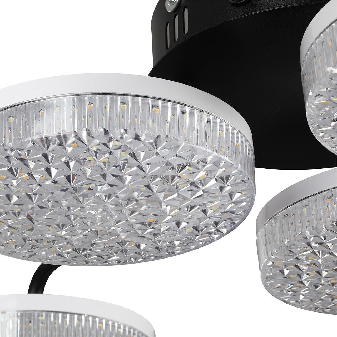 8236/6CL Потолочная люстра Lumion Didana 8236/6CL