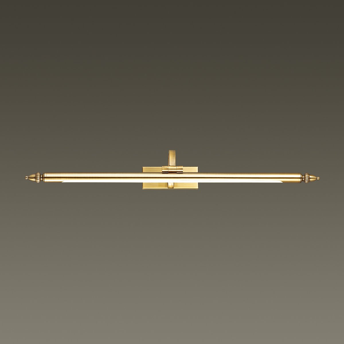 Подсветка для картин Odeon Light Lion 4179/7WL