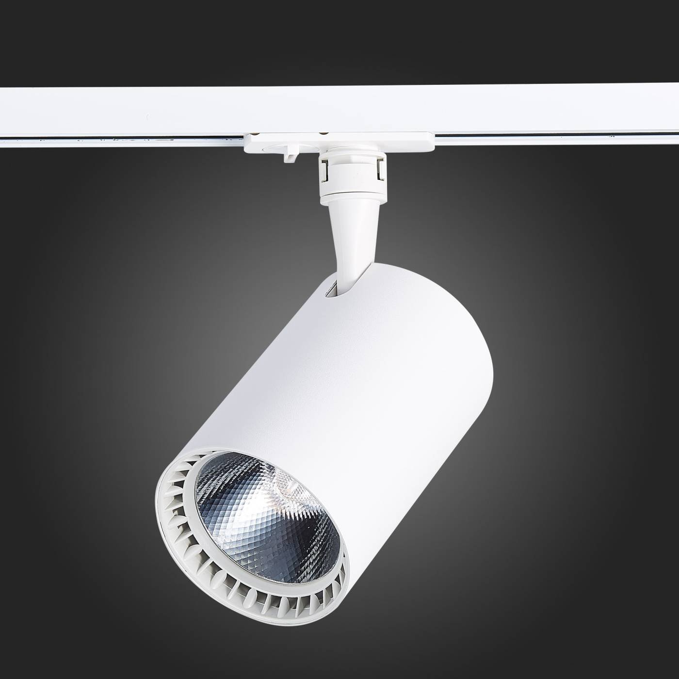 ST351.546.30.36 Трековый светильник ST Luce Cami ST351.546.30.36