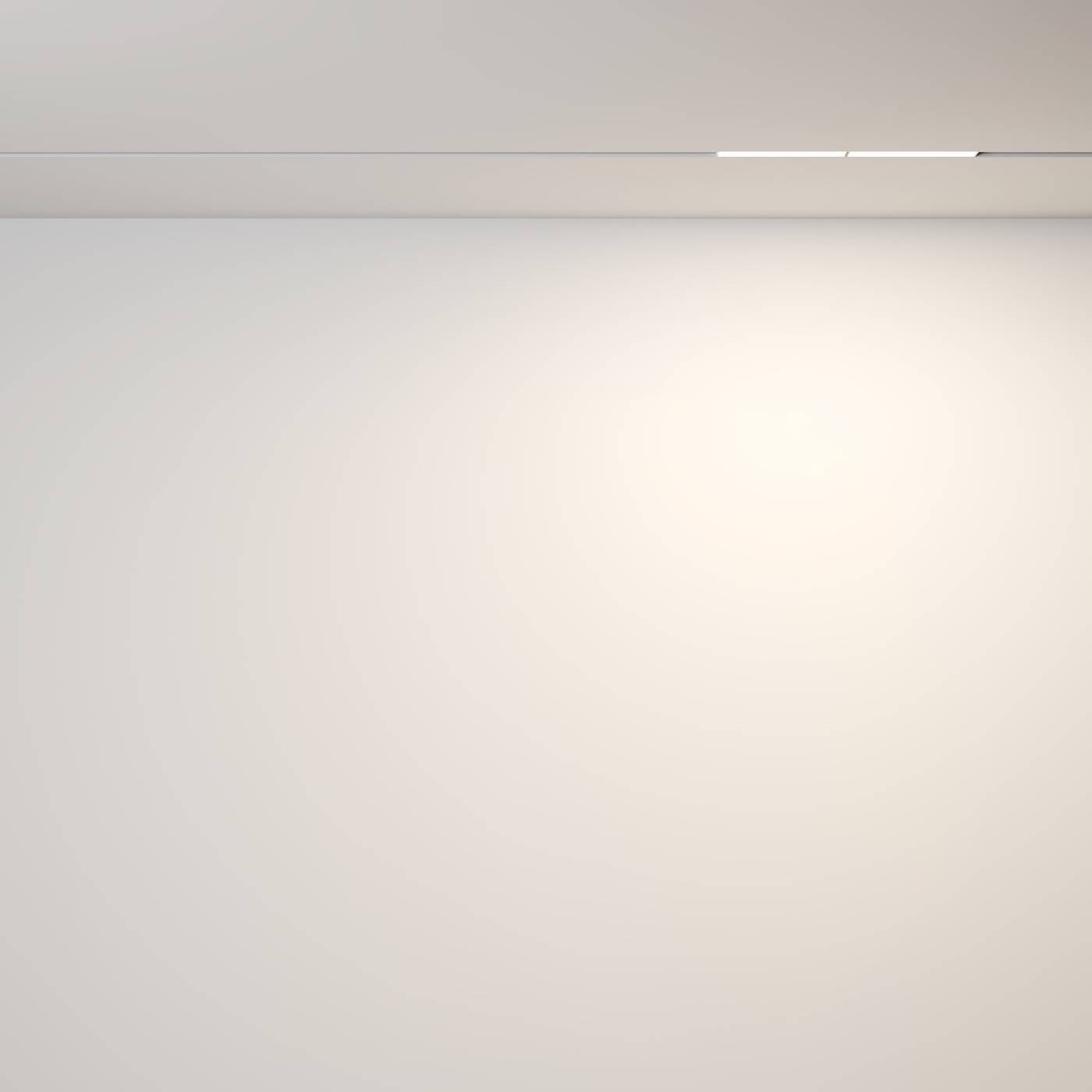 Трековый светильник Maytoni Parete TR106-2-12W3K-W