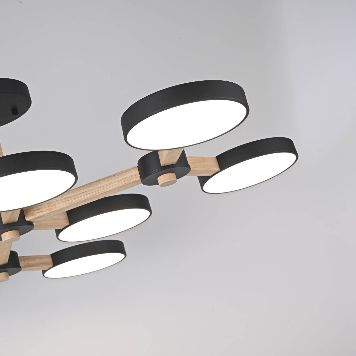 Потолочная люстра ImperiumLoft Turna-X01 178306-26