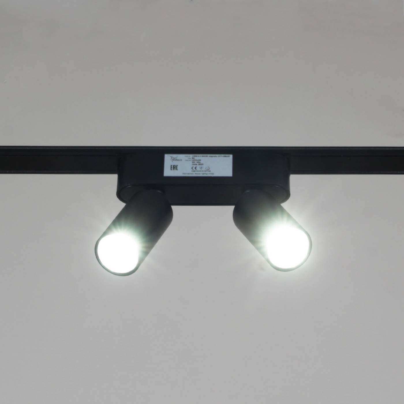 Трековый светильник Reluce 13005-9.3-002UR magnetic LED2x5W BK CCT+SMART