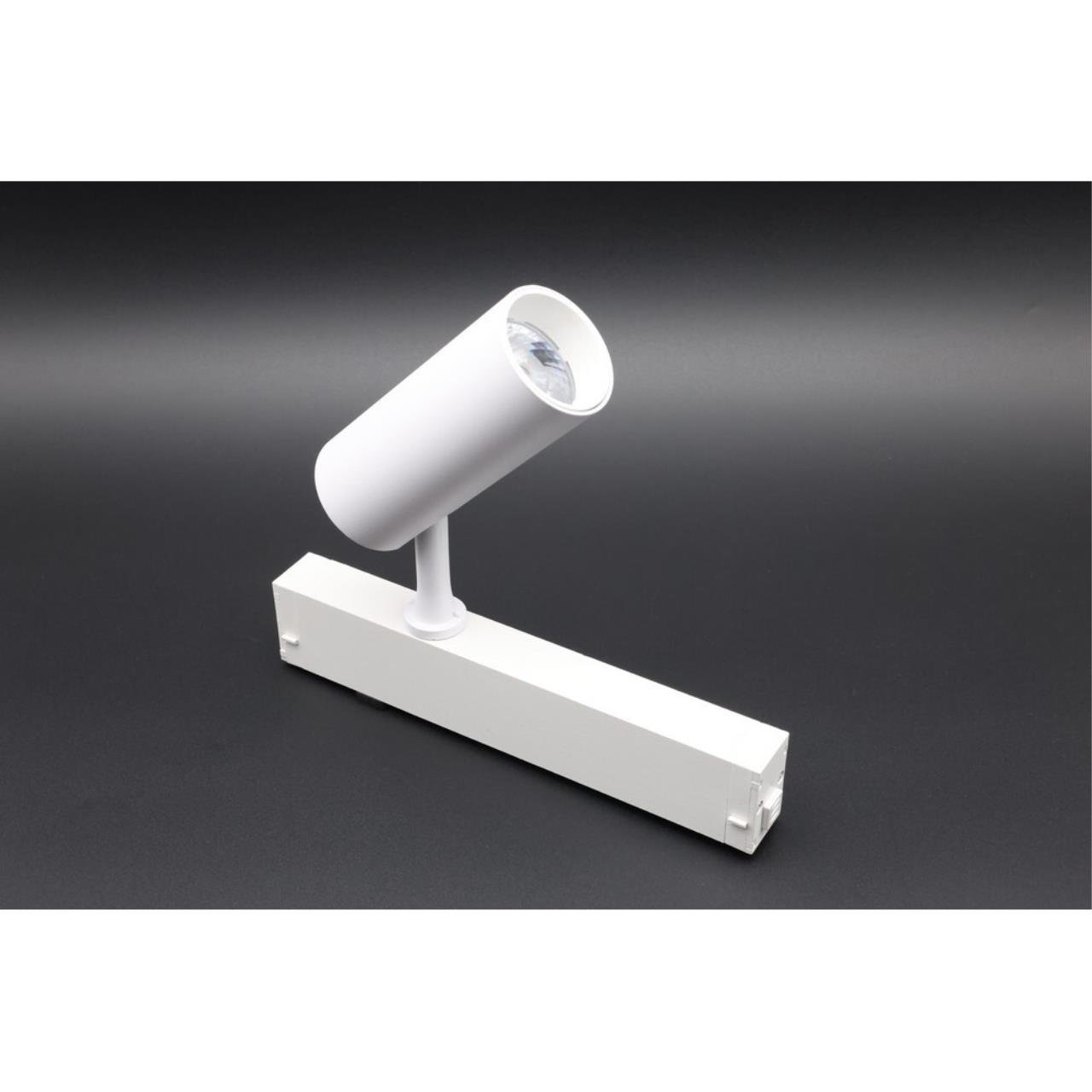 APL.0205.10.10 Трековый светильник Magnetic track 220 Aployt APL.0205.10.10
