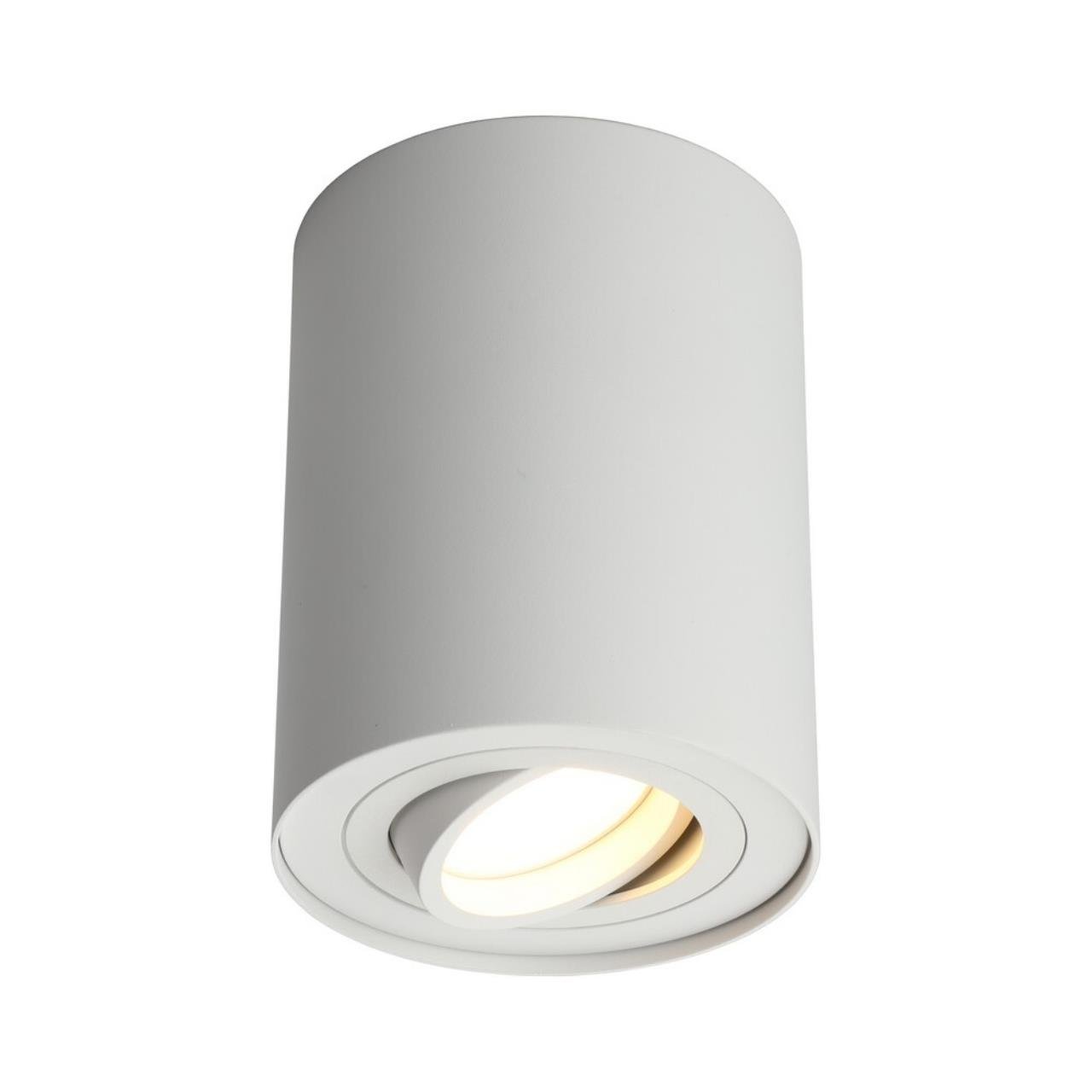 OML-101009-01 Накладной светильник Omnilux Pantaleo OML-101009-01