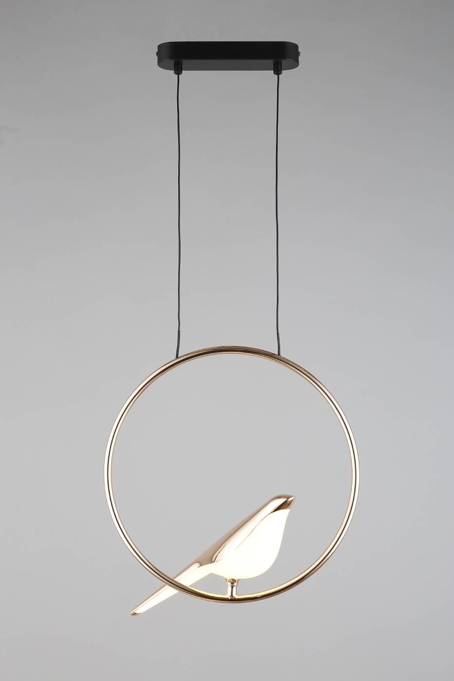 Светильник подвесной Aployt Astor APL.822.06.10