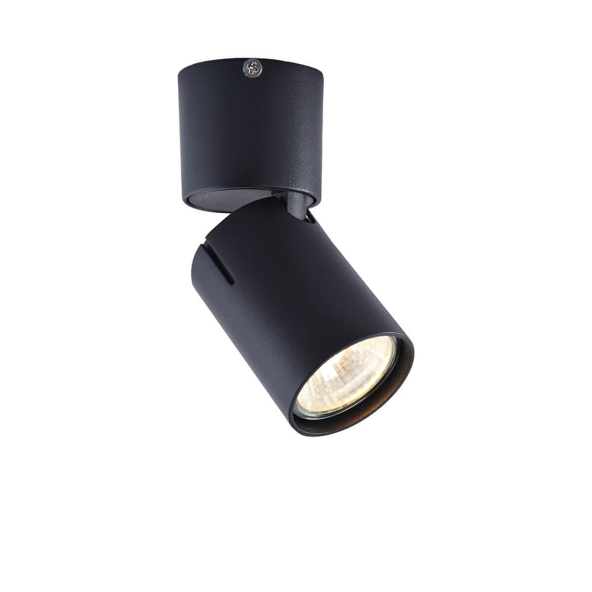 Накладной светильник Vele Luce Carrisi VL8062S01