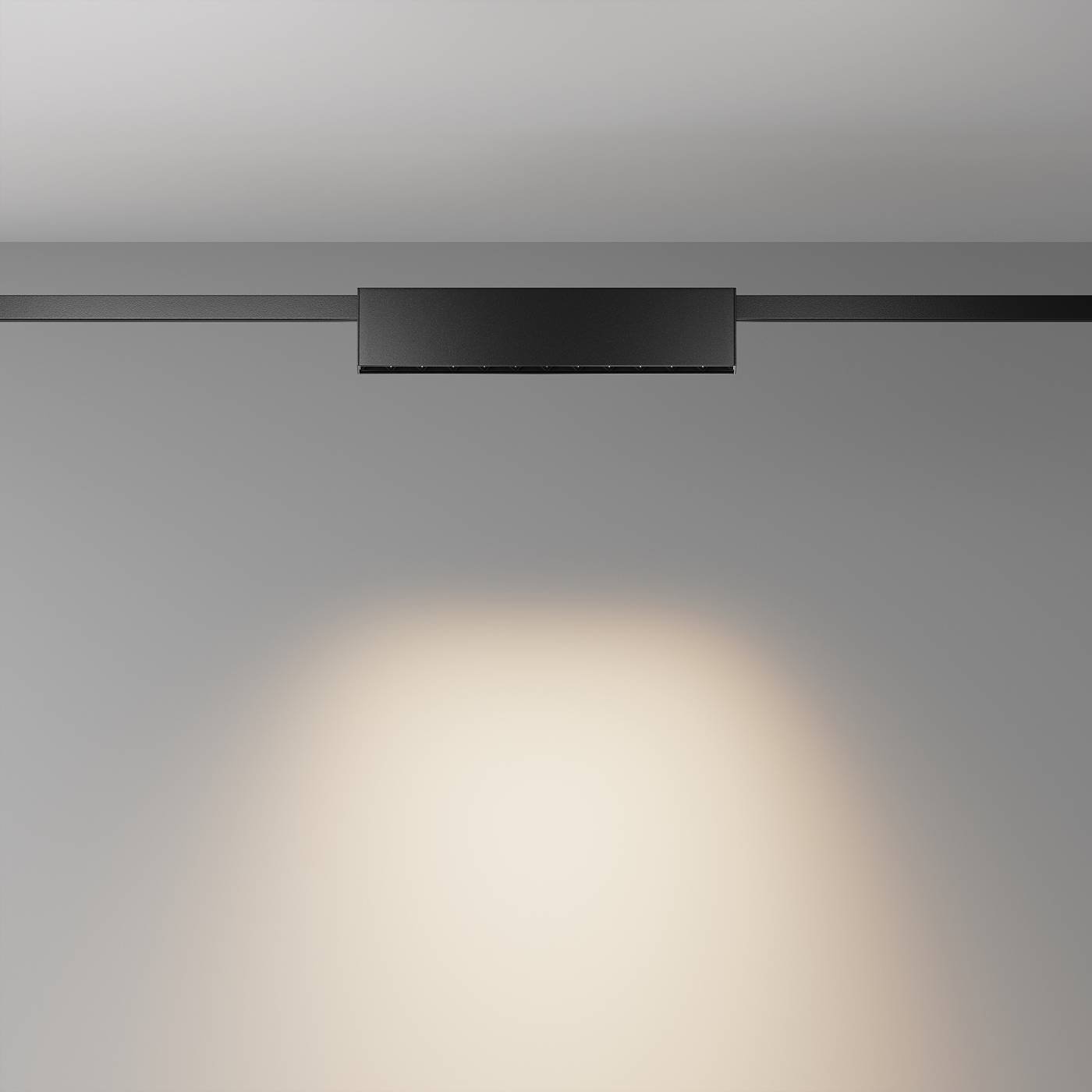 Трековый светильник Maytoni Points TR150-1-12W3K-M-B