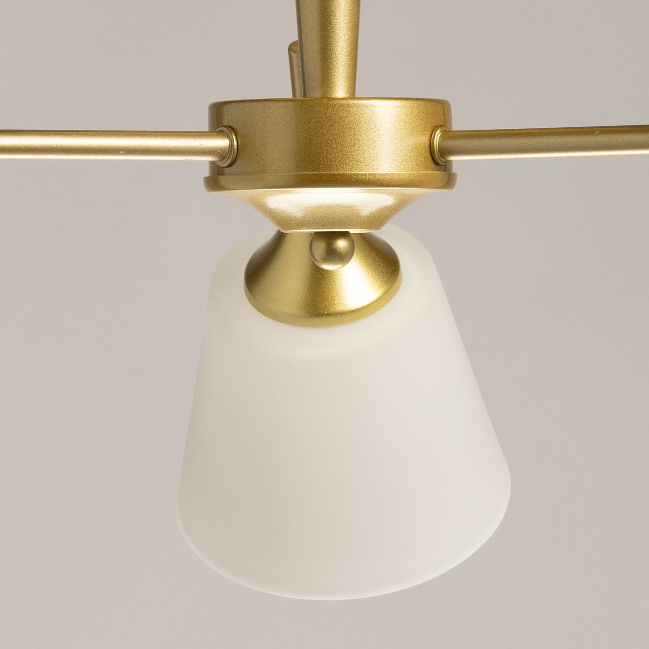 Потолочная люстра De Markt Дэла 635019205