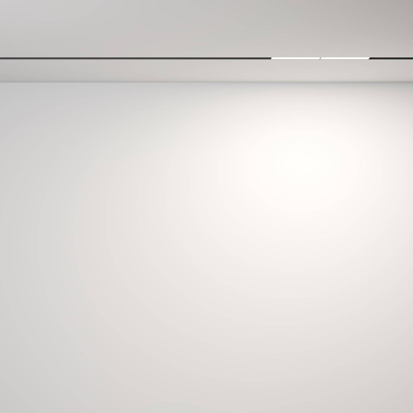 Трековый светильник Maytoni Parete TR106-2-12W4K-B