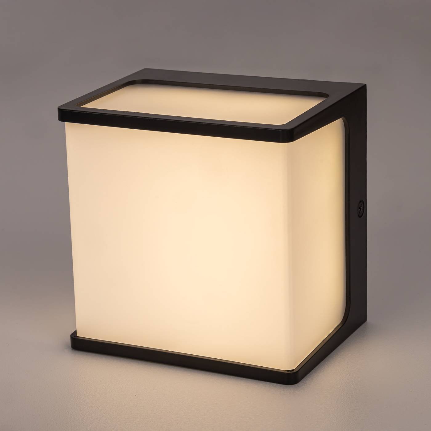 CLU0801 Уличный настенный светильник Citilux Domus CLU0801