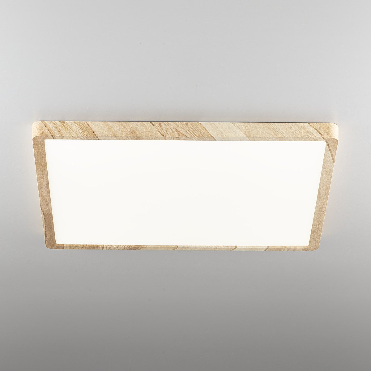 CL738K502V Светильник потолочный Citilux Бейсик CL738K502V