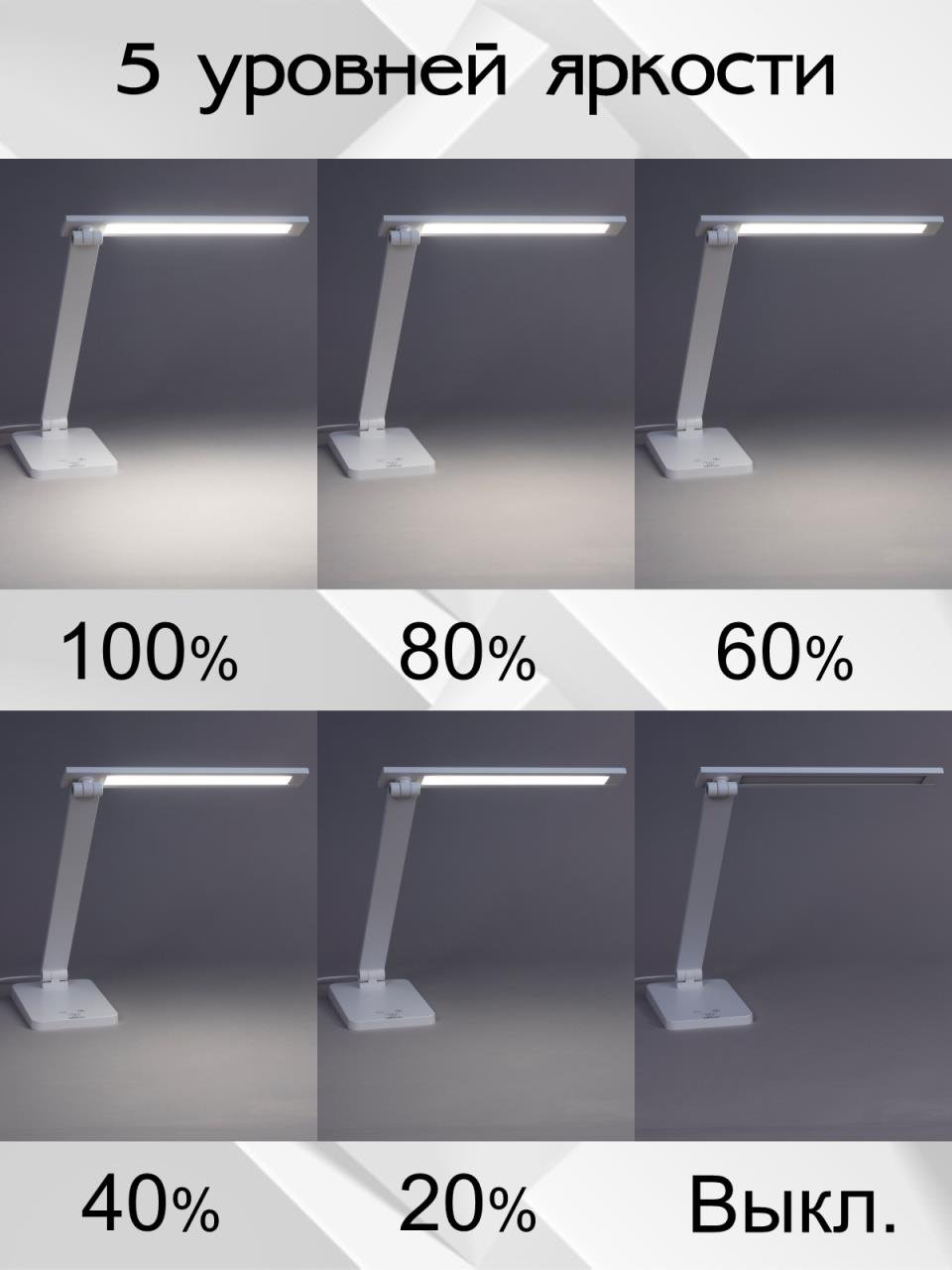 CL803080 Настольная лампа Citilux Ньютон CL803080