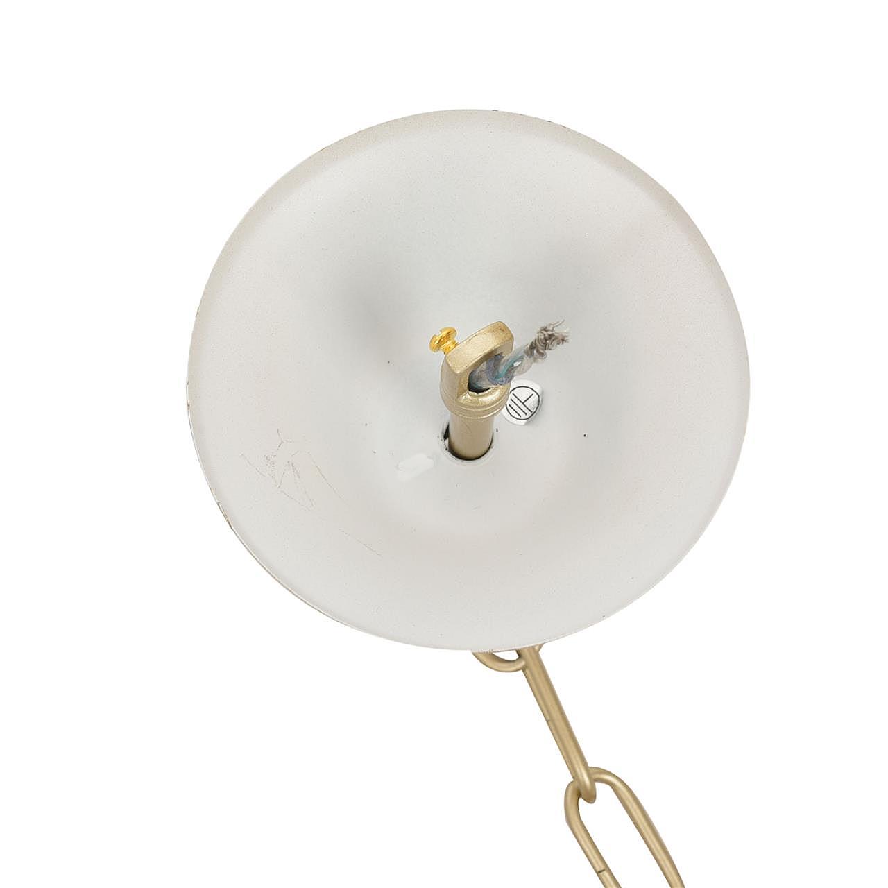 Подвесная люстра Lumion Suana 8318/12