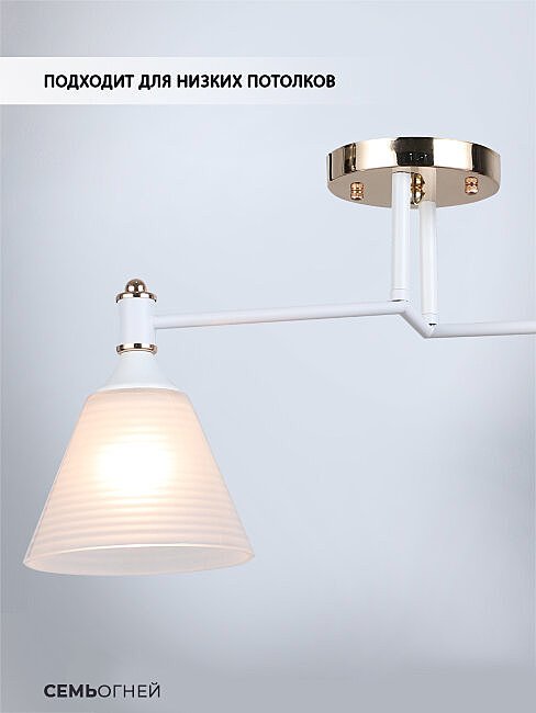 WD3619/2C-WT-FGD-WT Потолочная люстра Wedo Light Anneta WD3619/2C-WT-FGD-WT