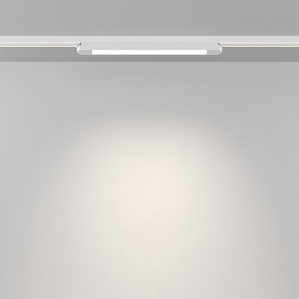 Трековый светильник Maytoni Basis TR000-1-12W4K-W_1