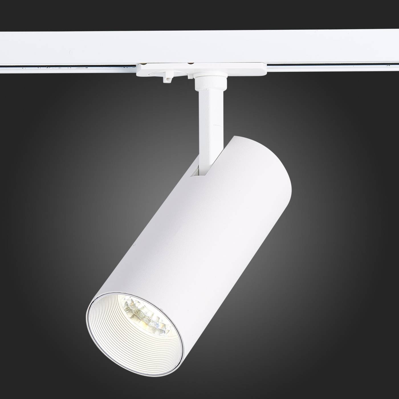 ST350.536.15.36 Трековый светильник ST Luce Mono ST350.536.15.36