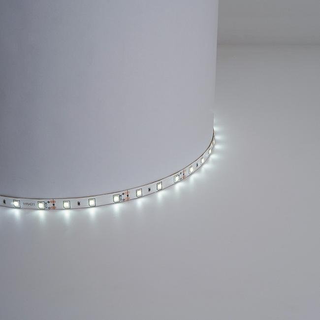 48219 LED лента Feron LS604 48219