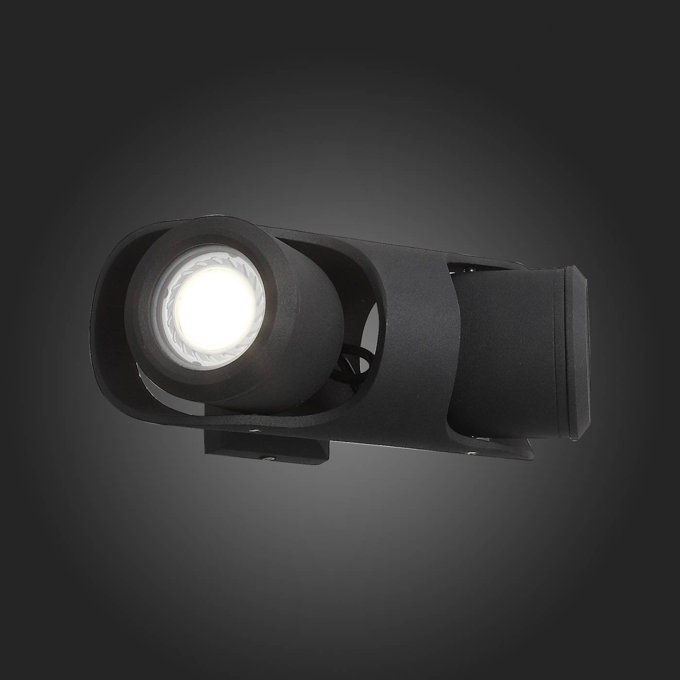 SL093.401.02 Уличный настенный светильник ST Luce Round SL093.401.02