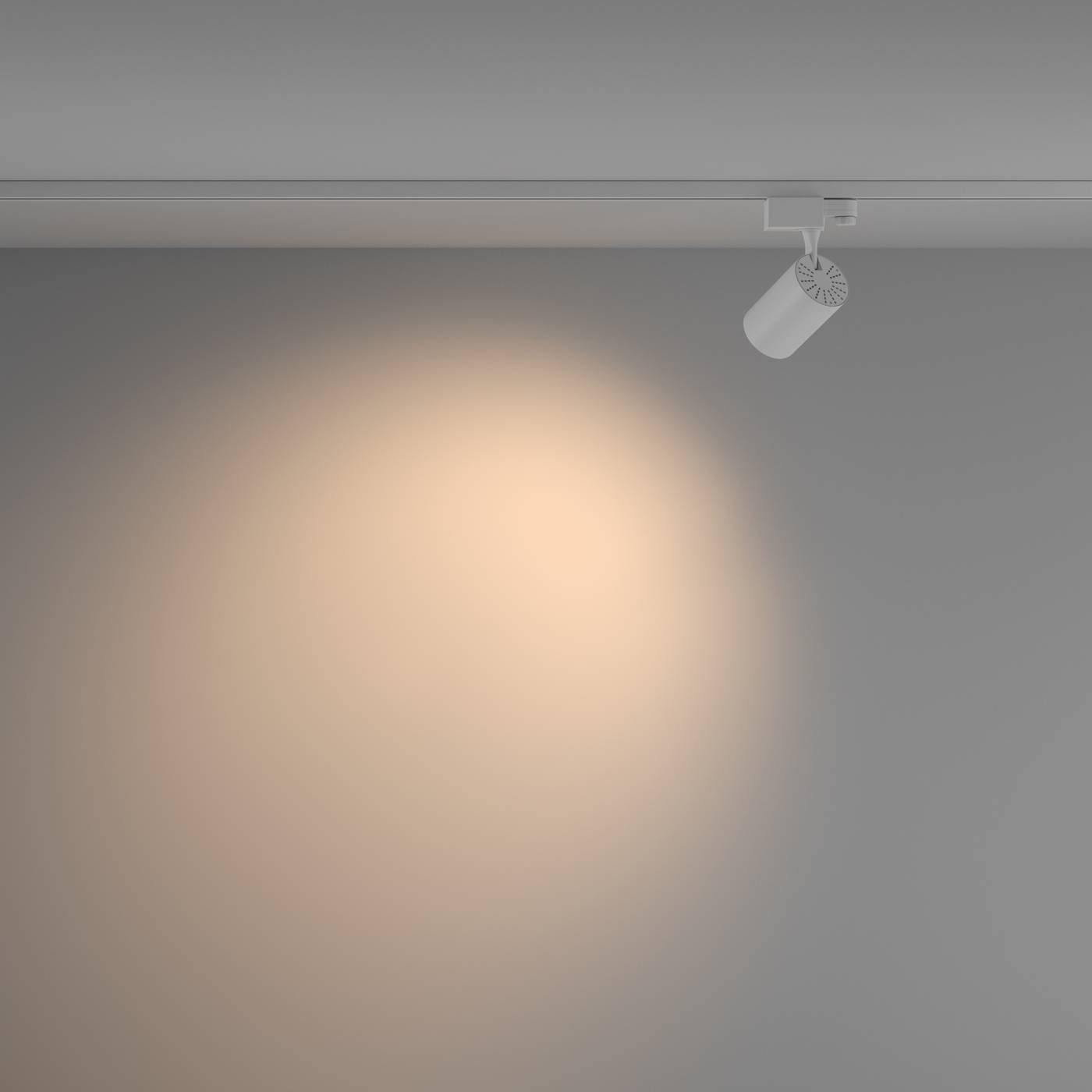 Трековый светильник Maytoni Vuoro Trinity TR029-3-10W3K-W-W