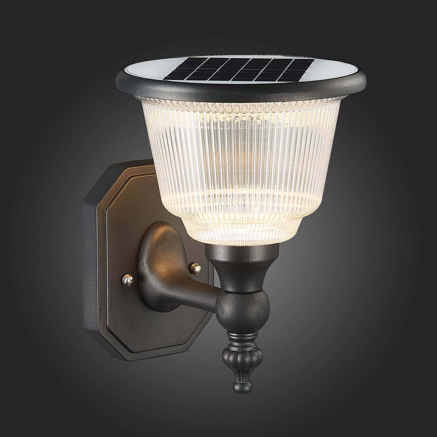 Уличный настенный светильник ST Luce Solaris SL9502.401.01