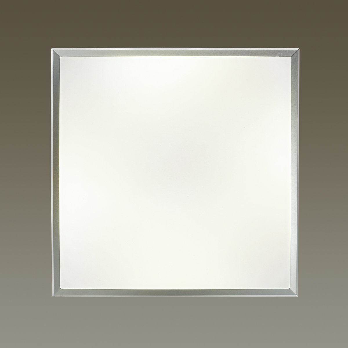 Потолочный светодиодный светильник Odeon Light Bernar 4624/48CL