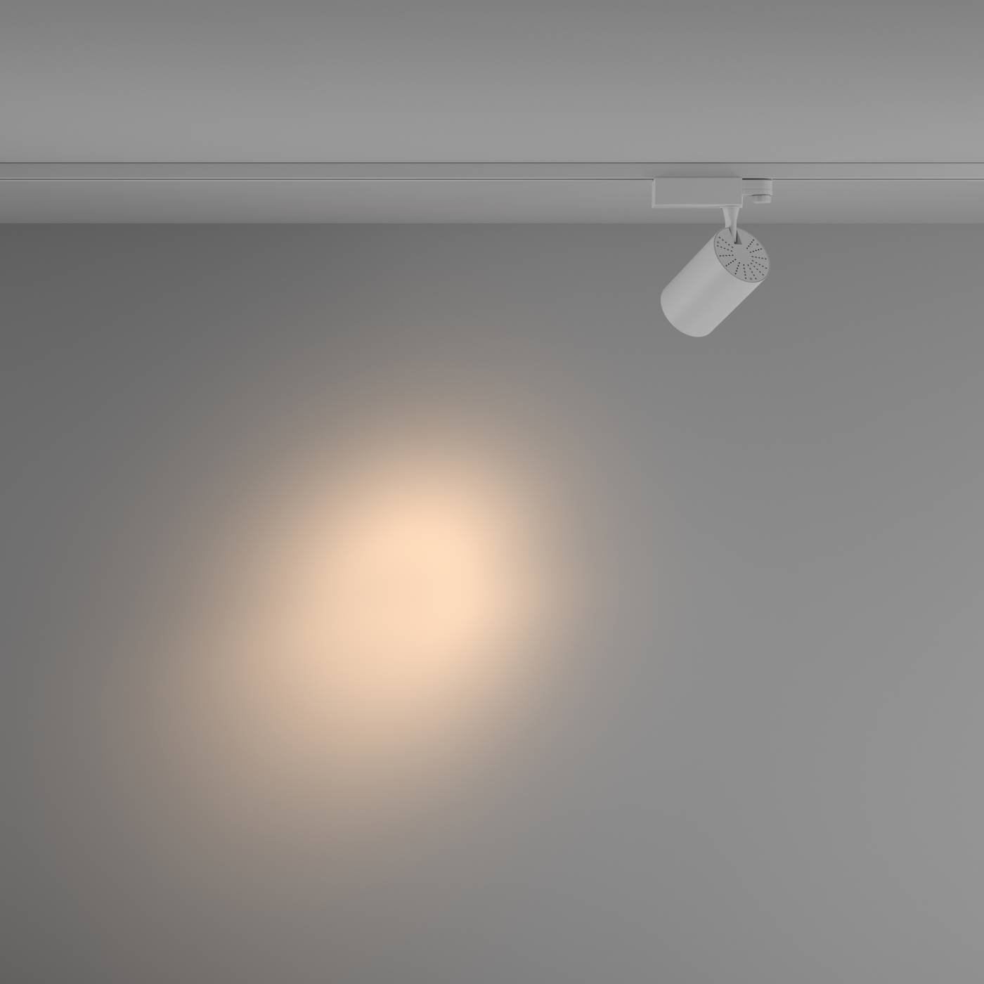 Трековый светильник Maytoni Vuoro Trinity TR029-3-20W3K-S-W