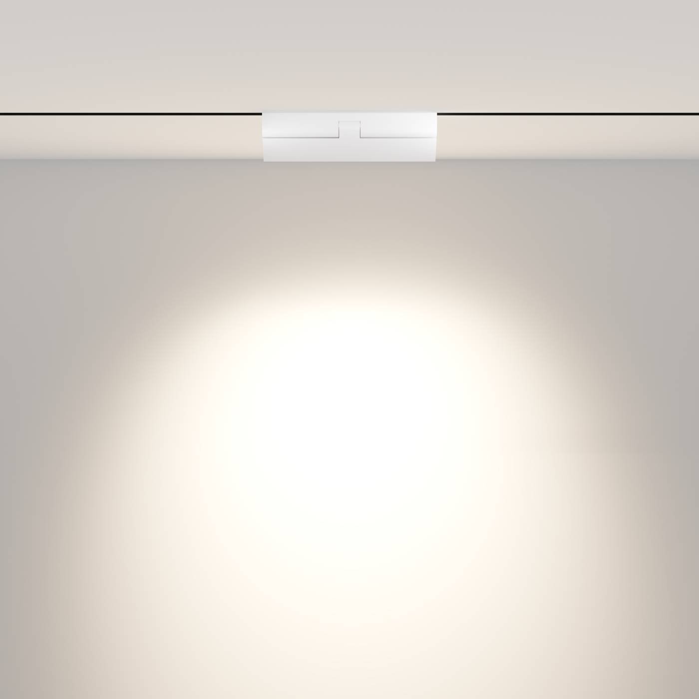 Трековый светильник Maytoni Points rot Exility TR033-2-12W4K-W