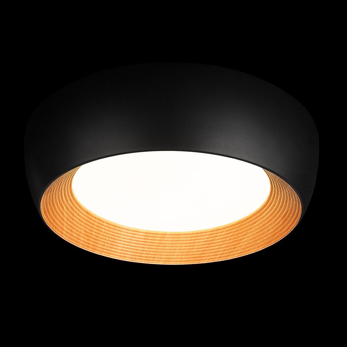 Светильник потолочный Loft It Folk 10255/500 Black