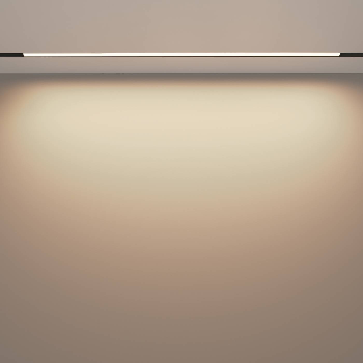 TR030-4-30WTW-DD2-B Трековый светильник Maytoni Basis TR030-4-30WTW-DD2-B