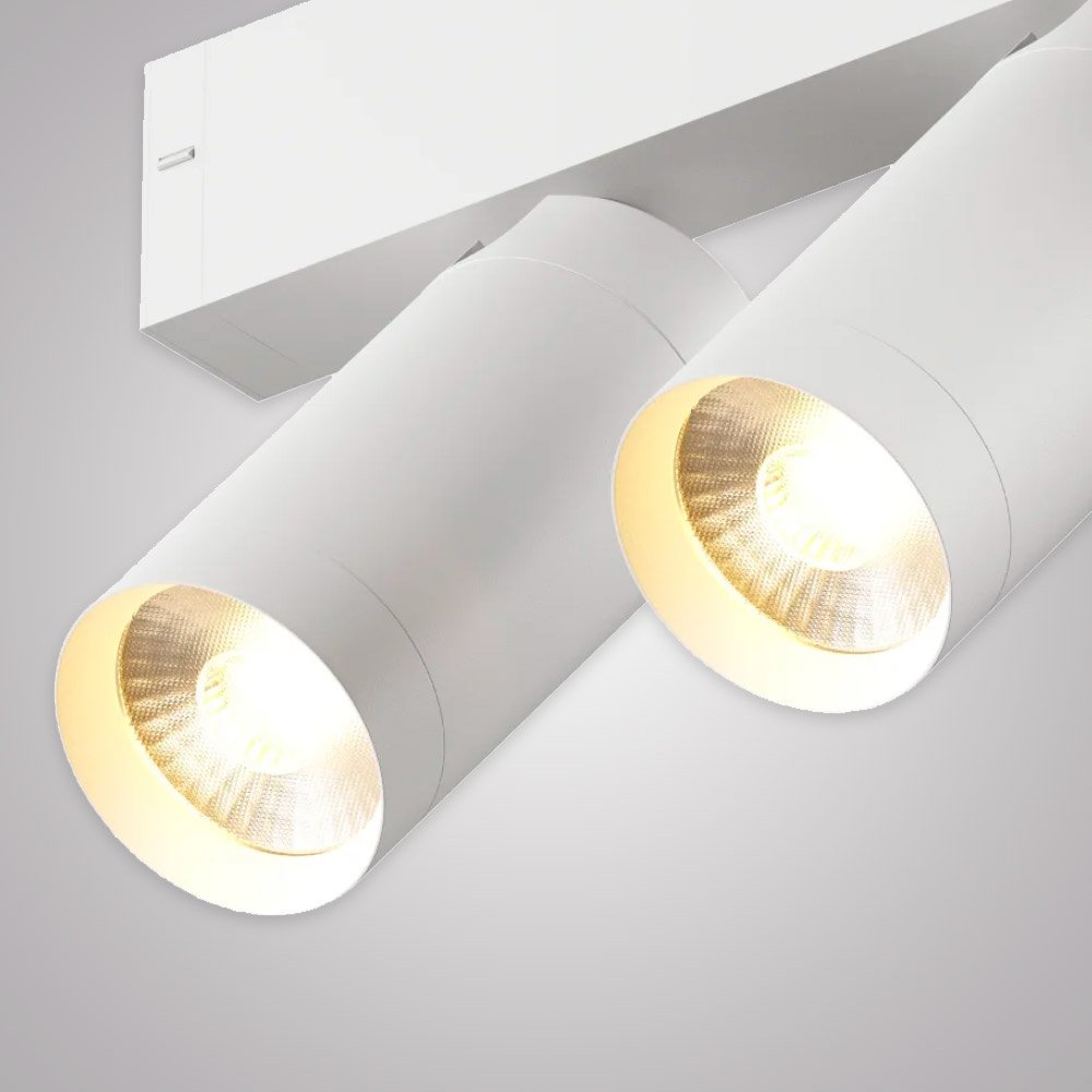 Трековый светильник AM Group Smart cylinder AM528 WH-220V-2X10W SMART