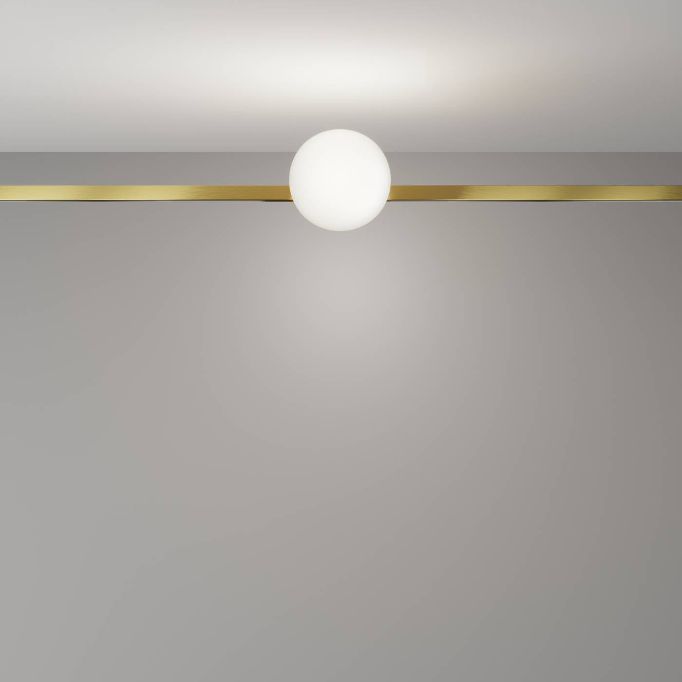 Трековый светильник Luna Maytoni TR229-1-5W4K-BS