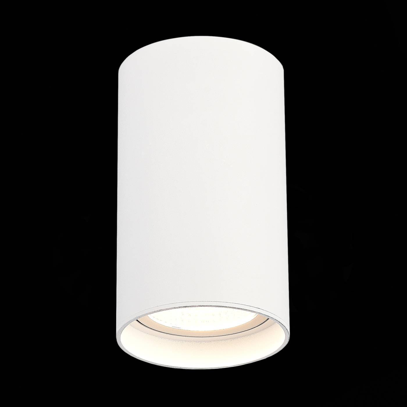 Накладной светильник ST Luce Functional ST157.542.20