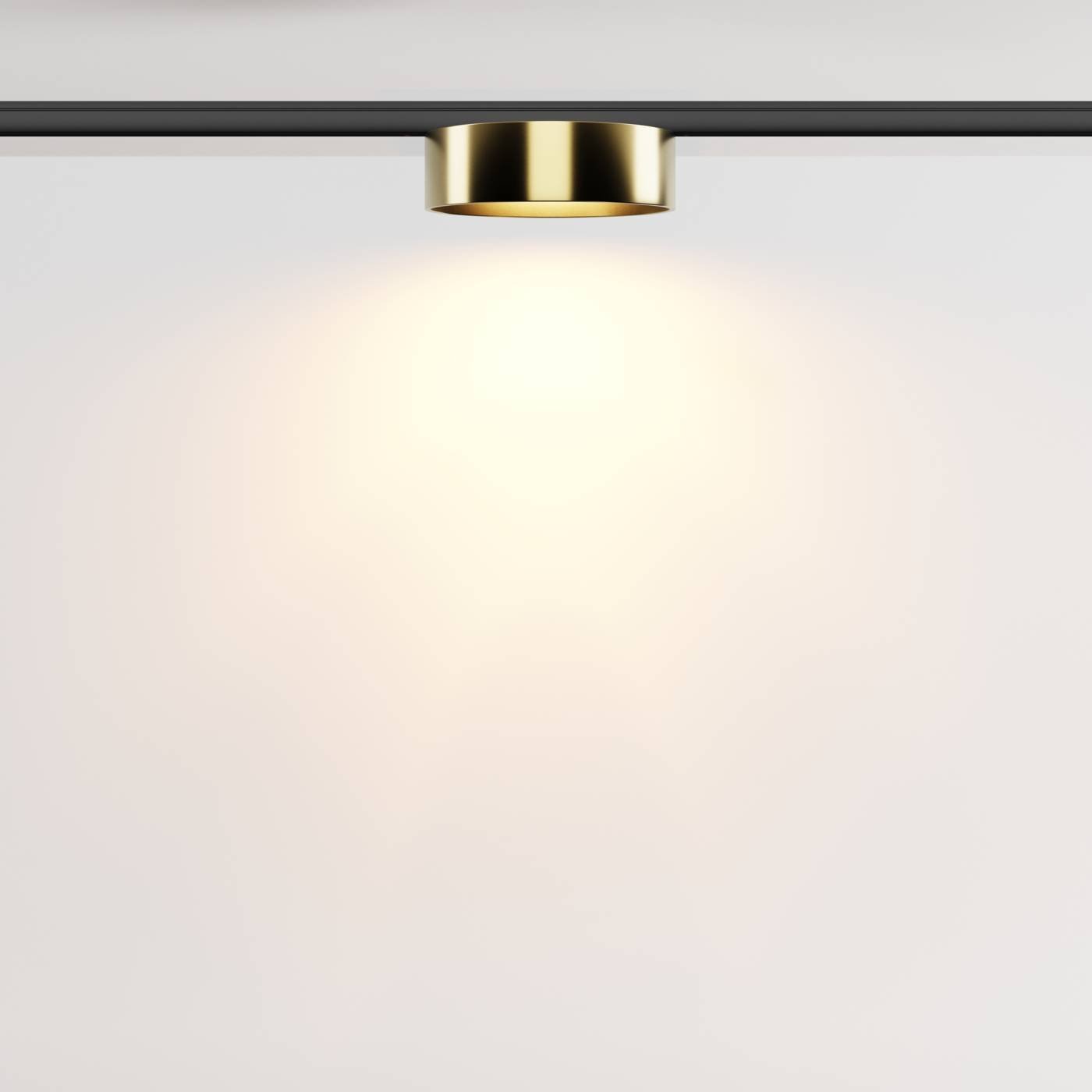 Трековый светильник Maytoni Zon TR189-1-12W2.7K-BBS