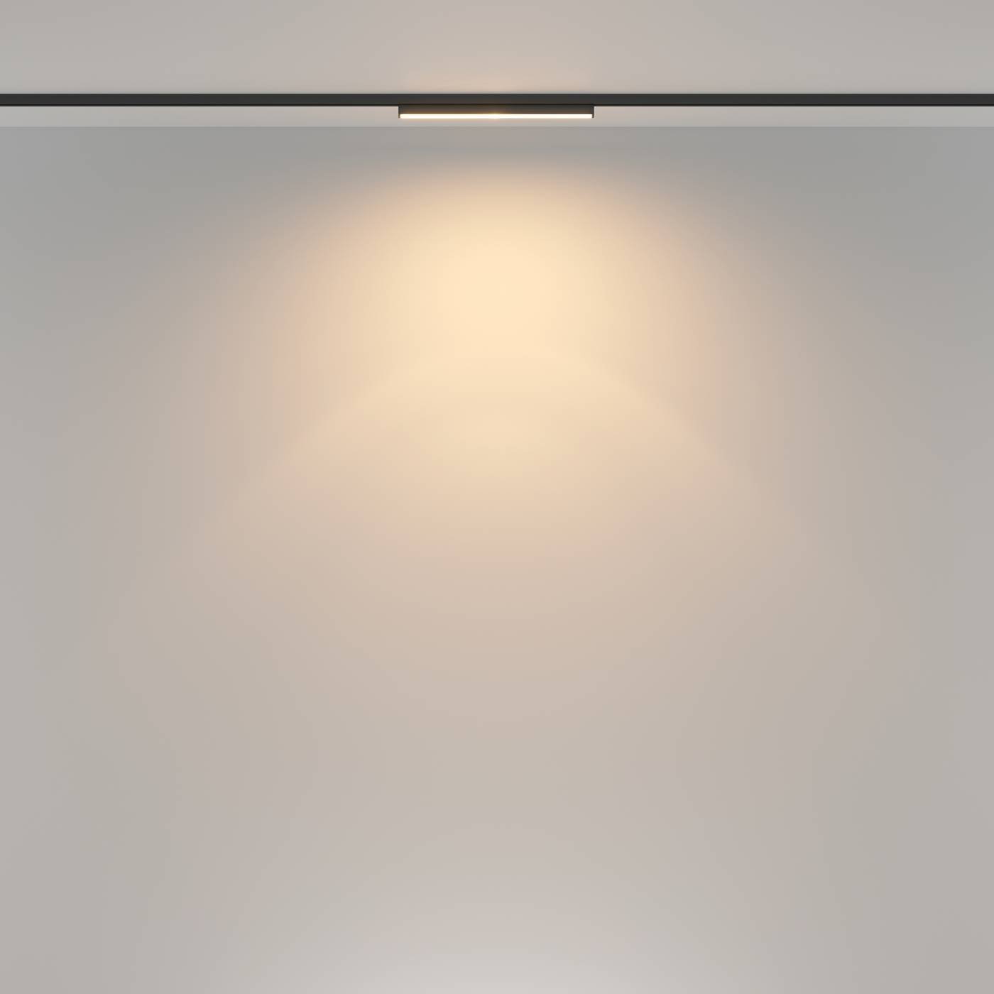 TR183-1-12WTW-B Трековый светильник Maytoni Basis Rot TR183-1-12WTW-B