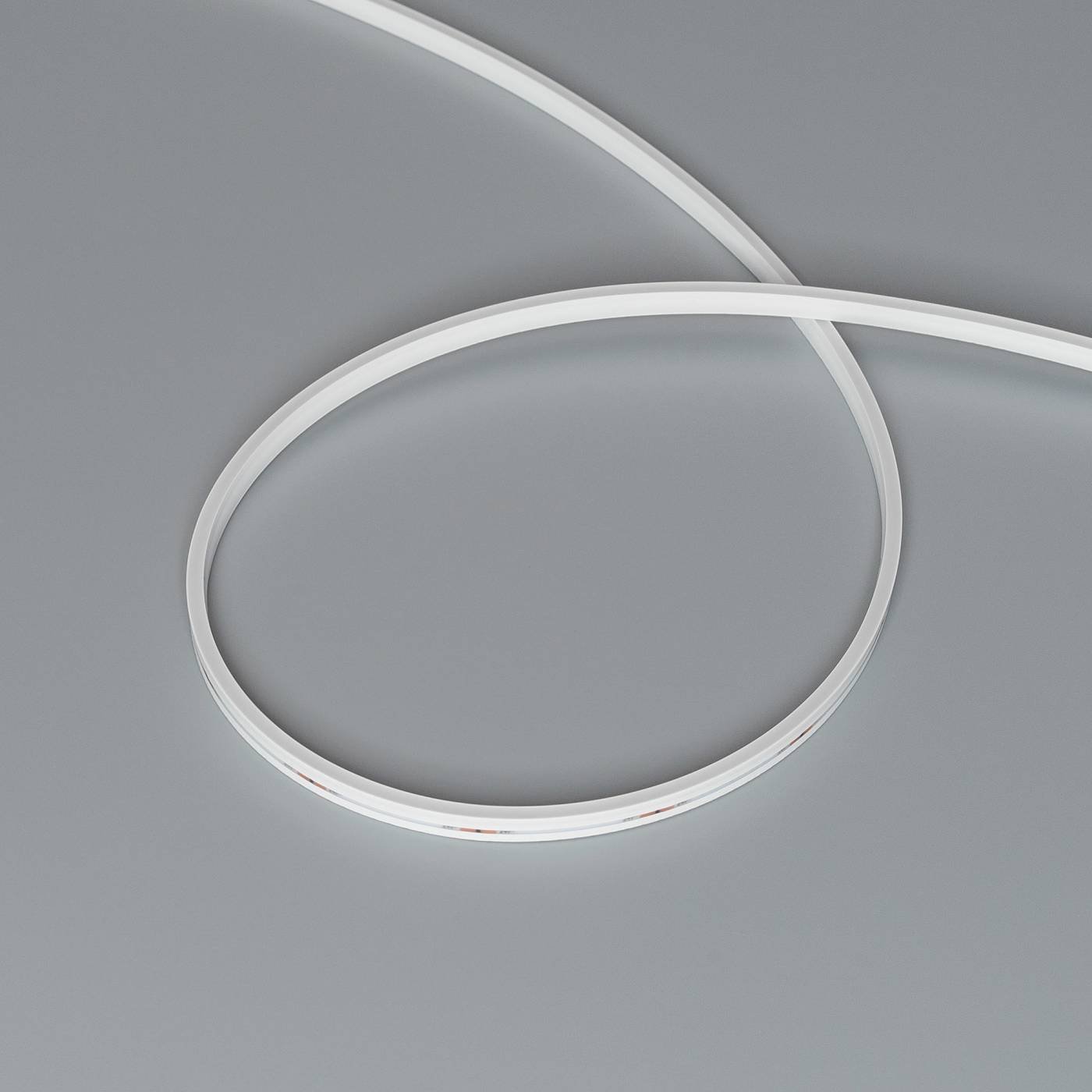 Светодиодный шнур Arlight Moonlight 039565