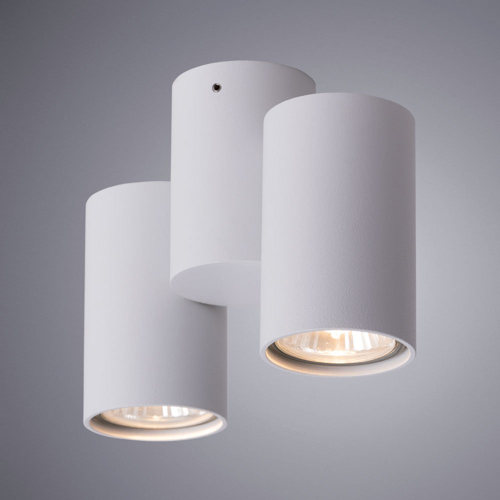 A1511PL-2WH Накладной светильник Arte Lamp Gavroche A1511PL-2WH