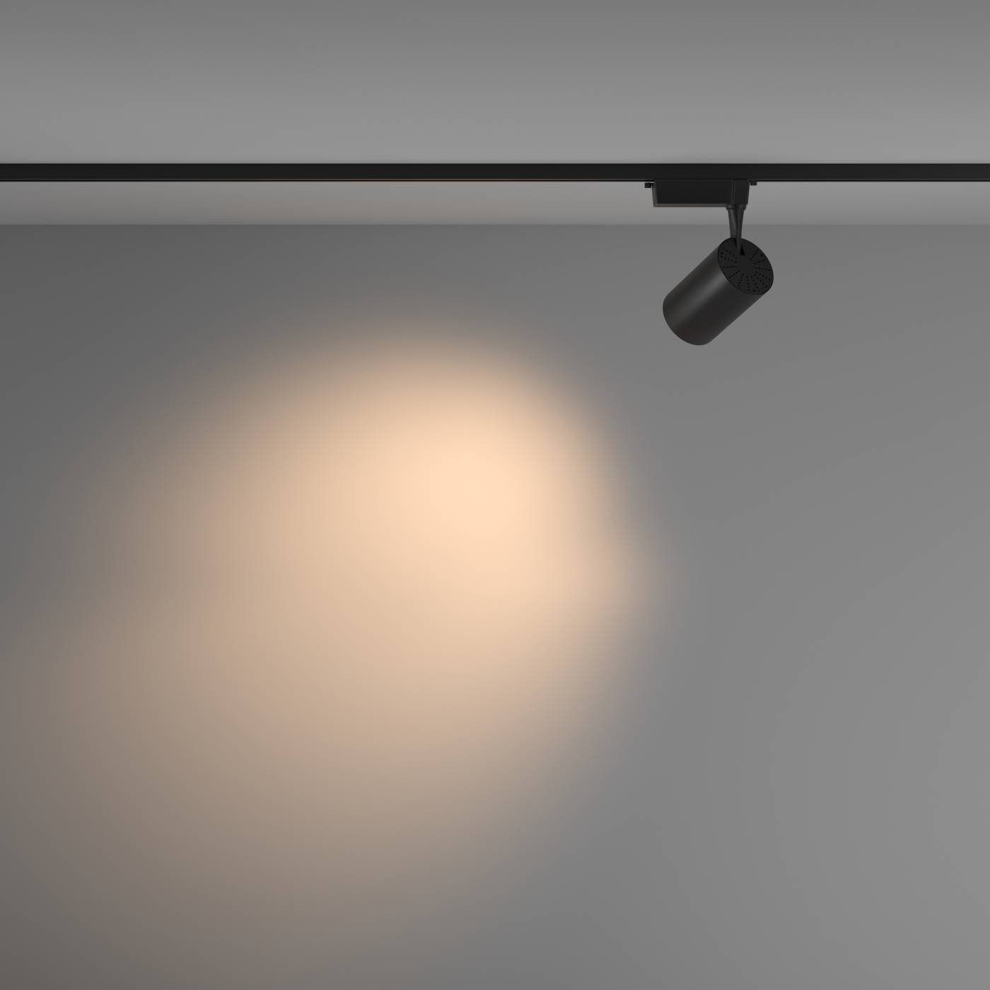 Трековый светильник Maytoni Vuoro Unity TR003-1-26W3K-M-B