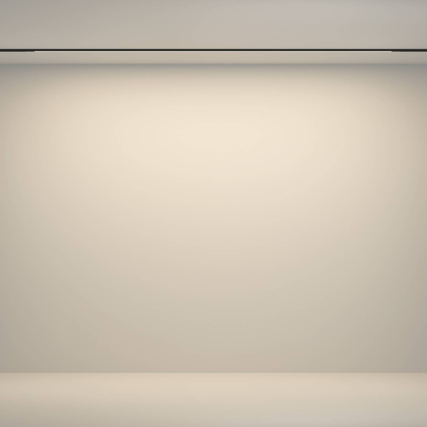 Трековый светильник Maytoni Flex TR180-1-24WTW-B