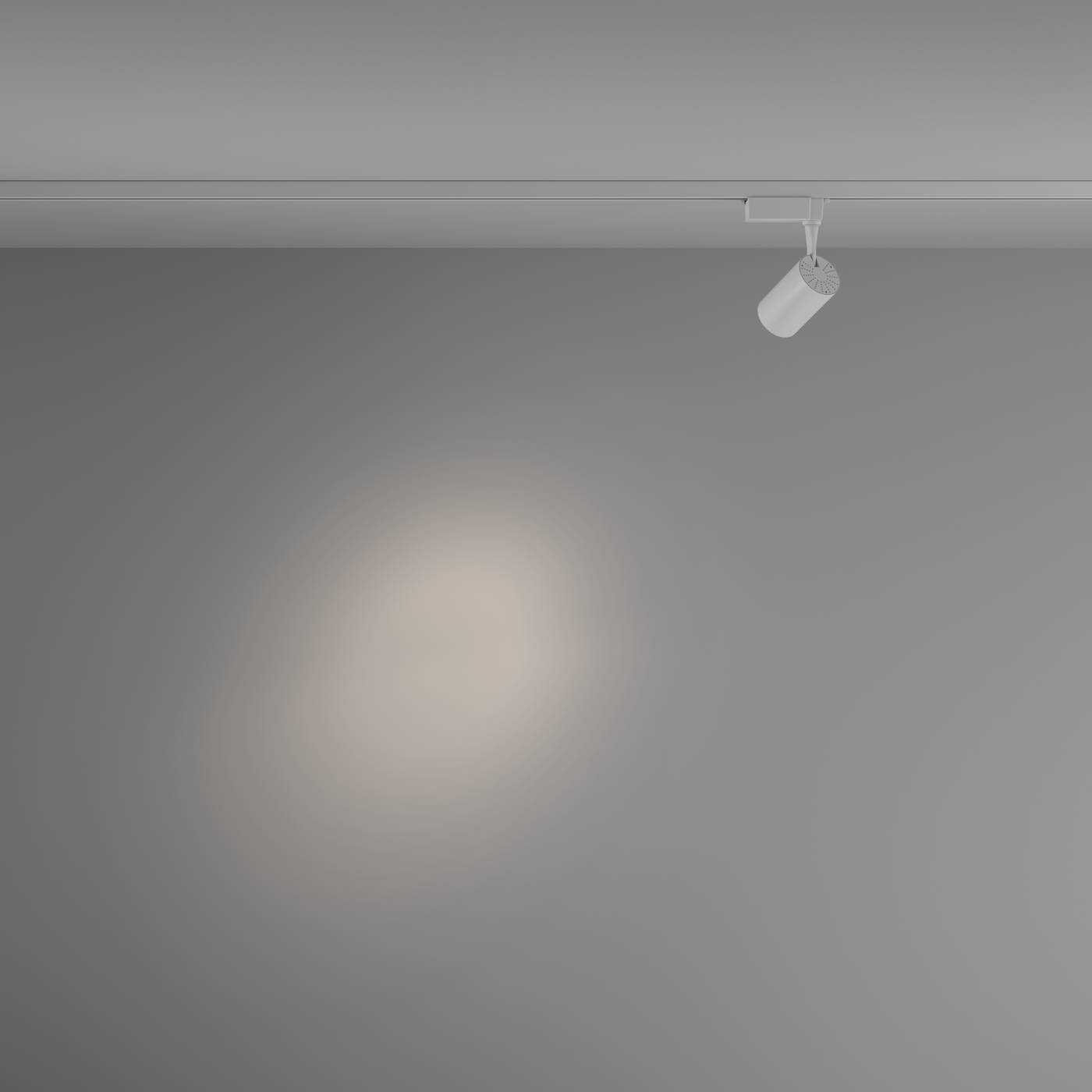 TR003-1-6W4K-S-W Трековый светильник Maytoni Vuoro TR003-1-6W4K-S-W