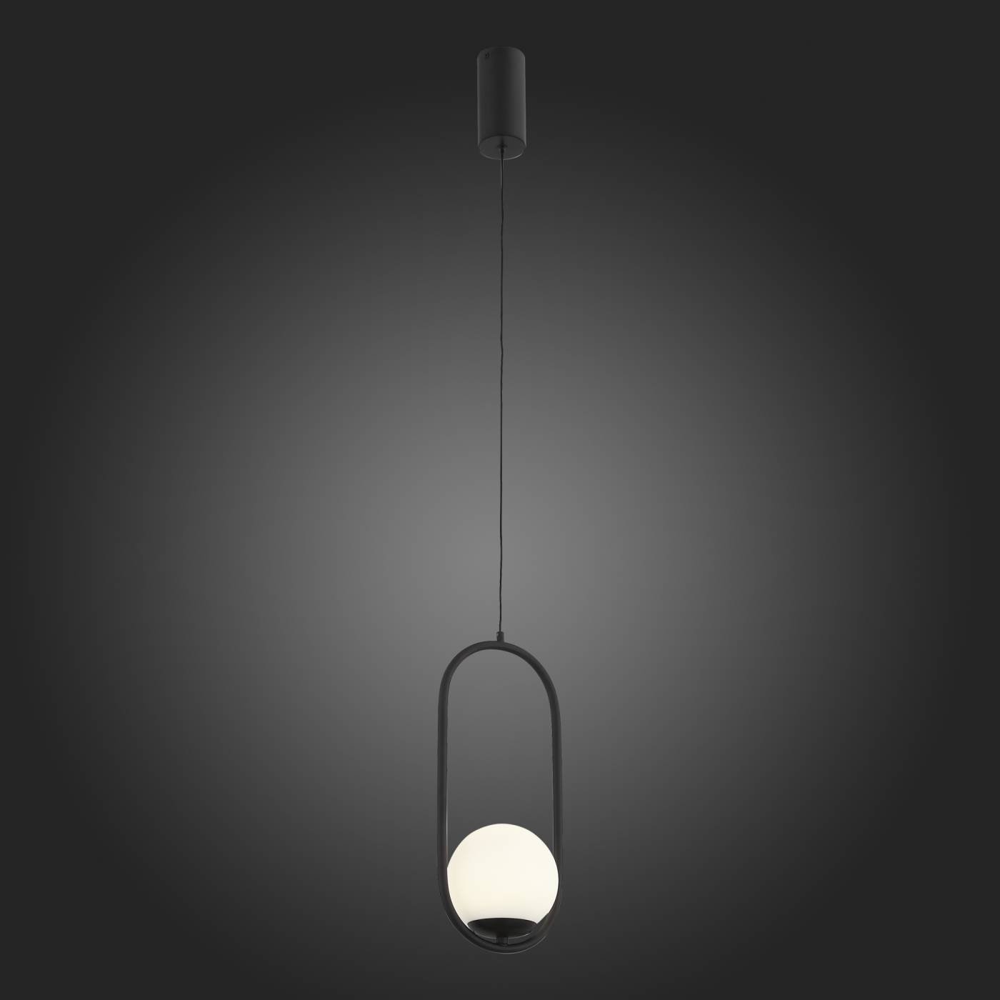 SL395.403.01 Светильник подвесной ST Luce Donolo SL395.403.01