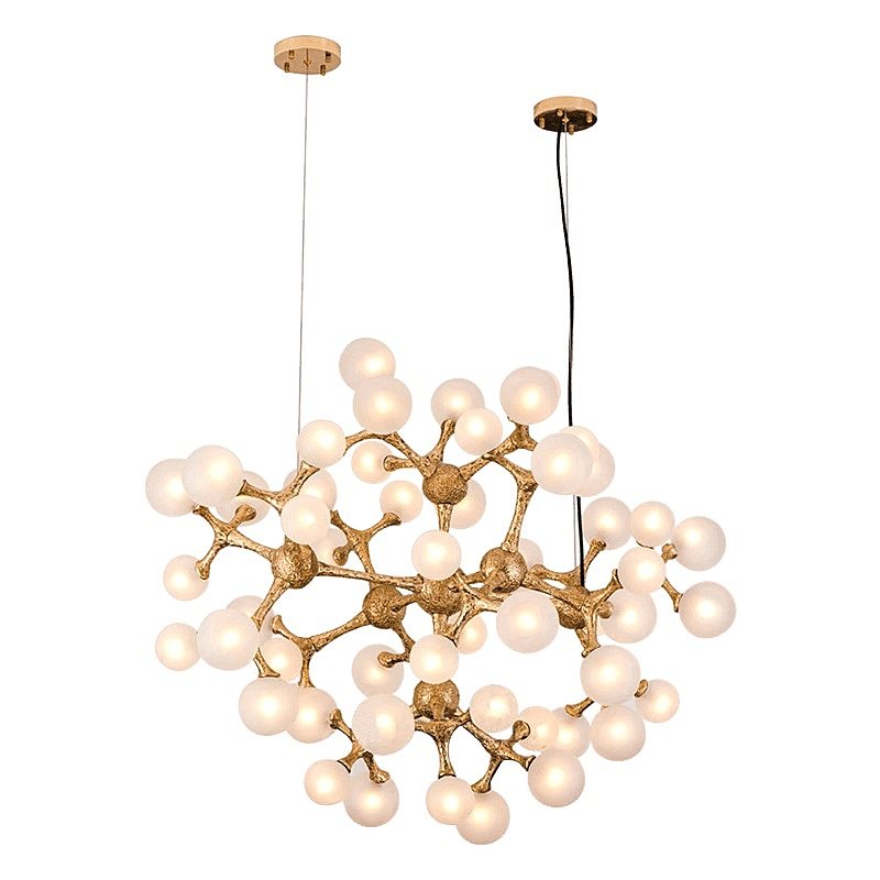 L04600 Подвесная люстра L'Arte Luce Luxury Organic Atomic L04600