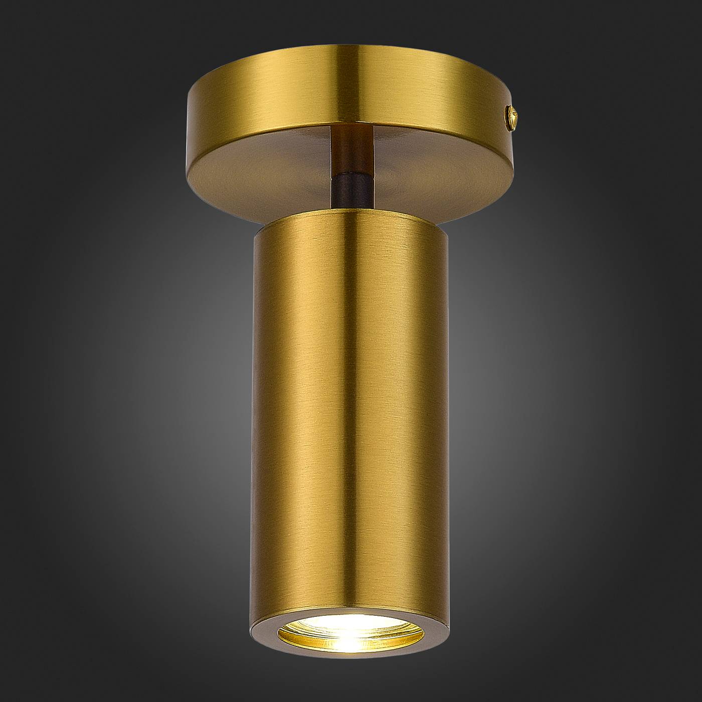 Накладной светильник ST Luce Talia SL1215.402.01