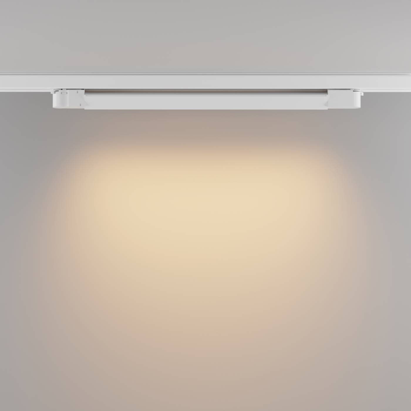 TR196-3-20W2.7K-W Трековый светильник Maytoni Basis TR196-3-20W2.7K-W