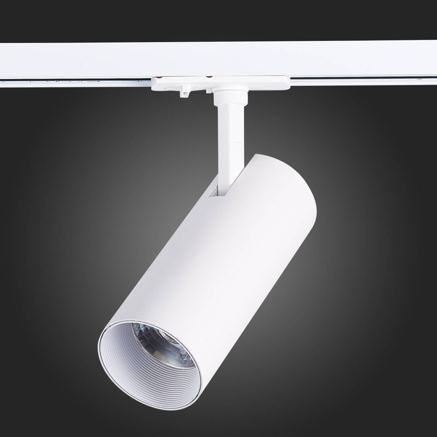 ST350.546.15.36 Трековый светильник ST Luce Mono ST350.546.15.36