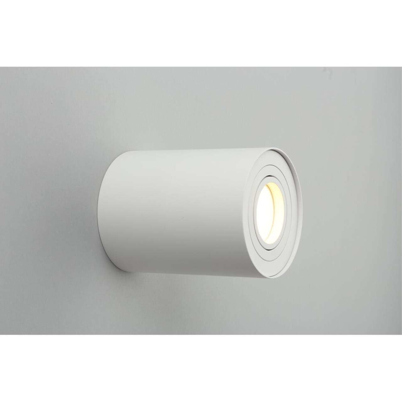 OML-101009-01 Накладной светильник Omnilux Pantaleo OML-101009-01