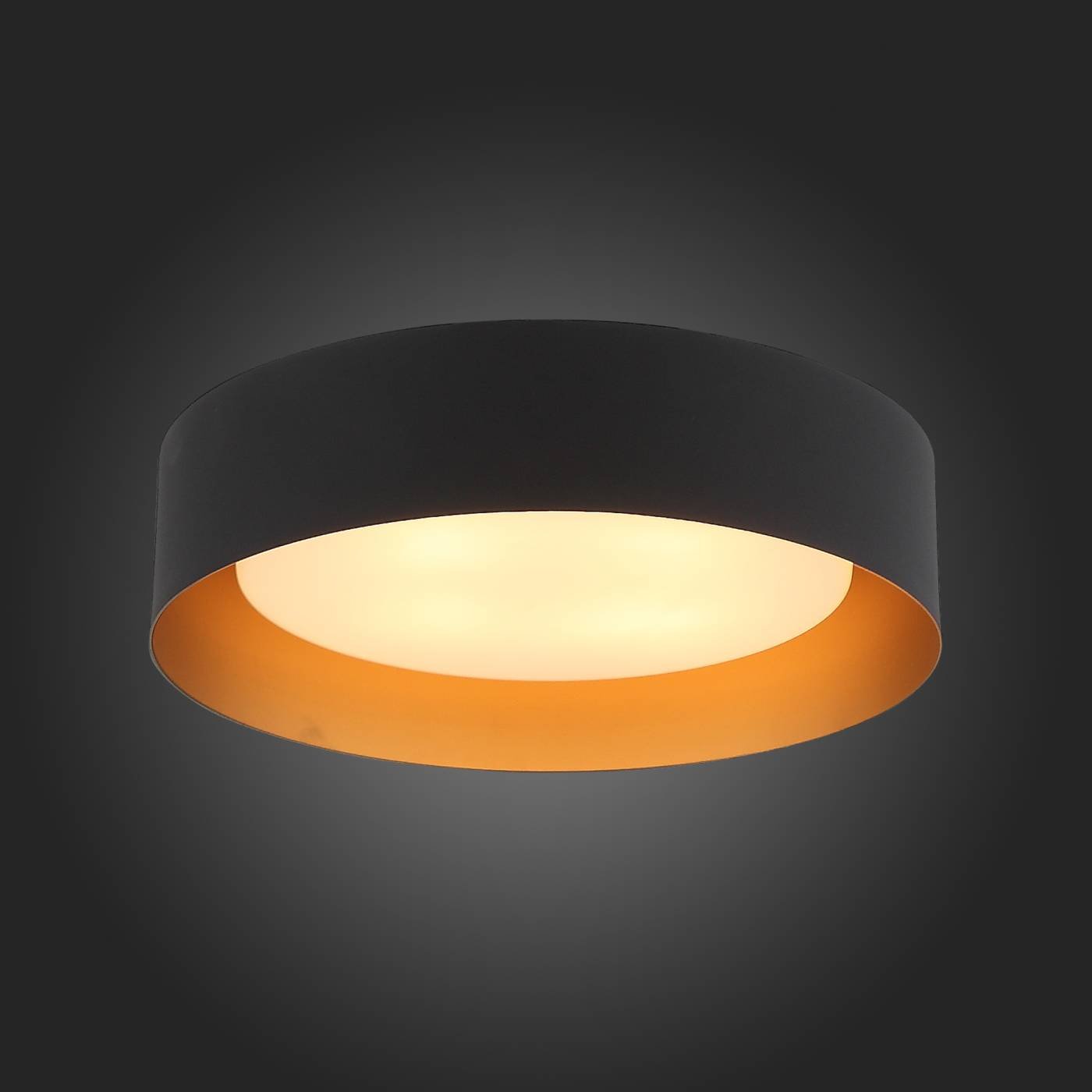 SL392.422.04 Светильник потолочный ST Luce Chio SL392.422.04
